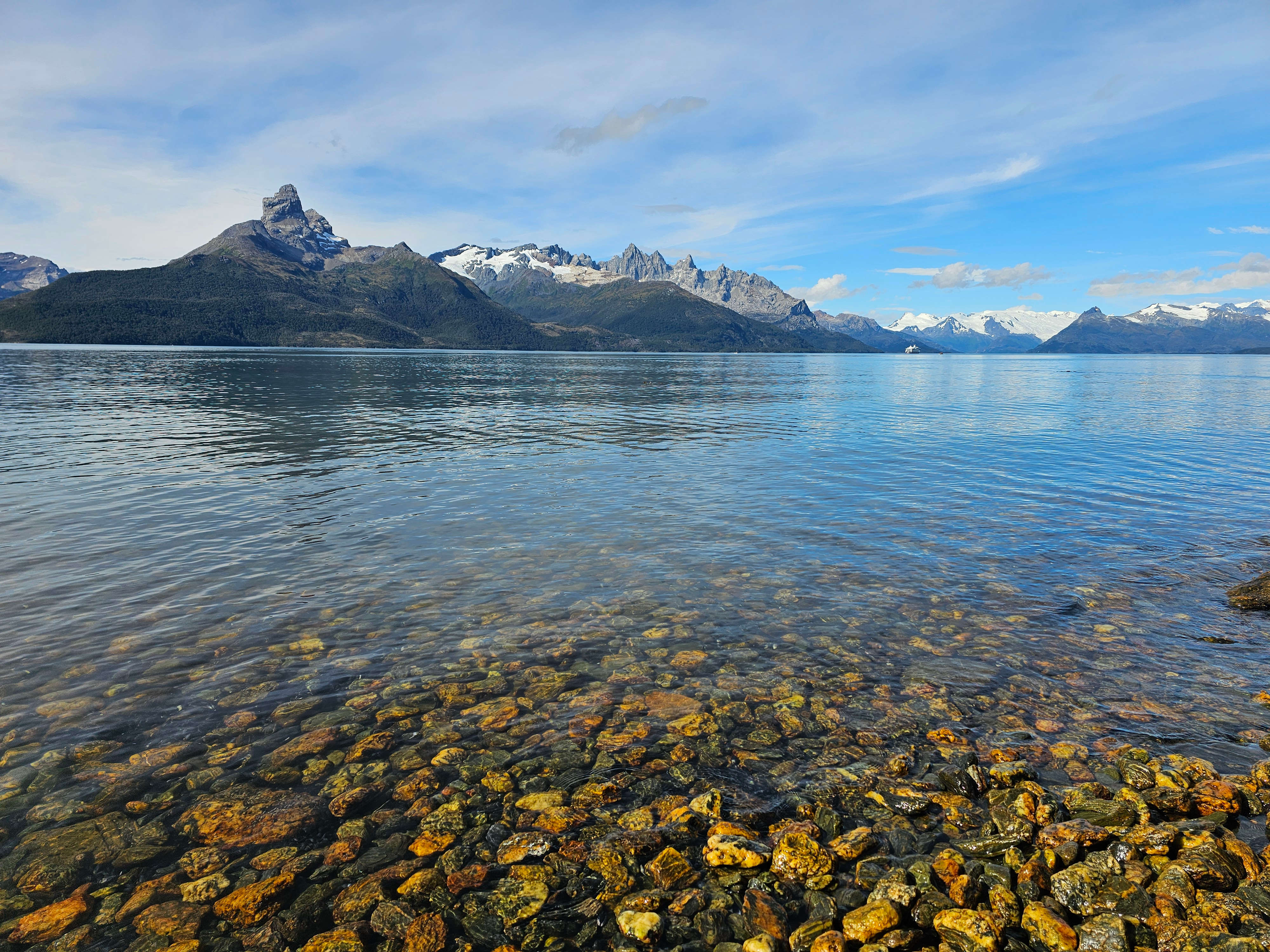 Australis